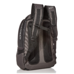 Alpinestars Time Zone Backpack Back View