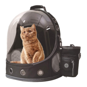 CHEIGHY Premium Space Capsule Cat Backpack Front View