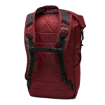 Columbia Tandem Trail Backpack Back View