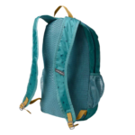 Eddie Bauer Stowaway Packable 20L Daypack Backpack - Back View