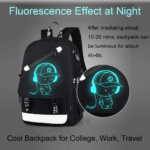 FLYMEI Luminous Laptop Backpack Night View