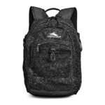 High Sierra Airhead Backpack Front View