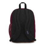 JanSport Cool Student Backpack Back View