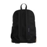 JanSport Right Pack Back View