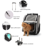 Lollimeow Widok szczegółów geometrycznego plecaka Roller Cat