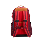 Ogio Alpha 25L Backpack - Back View