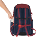 Ogio Alpha 25L Backpack - Back View 3