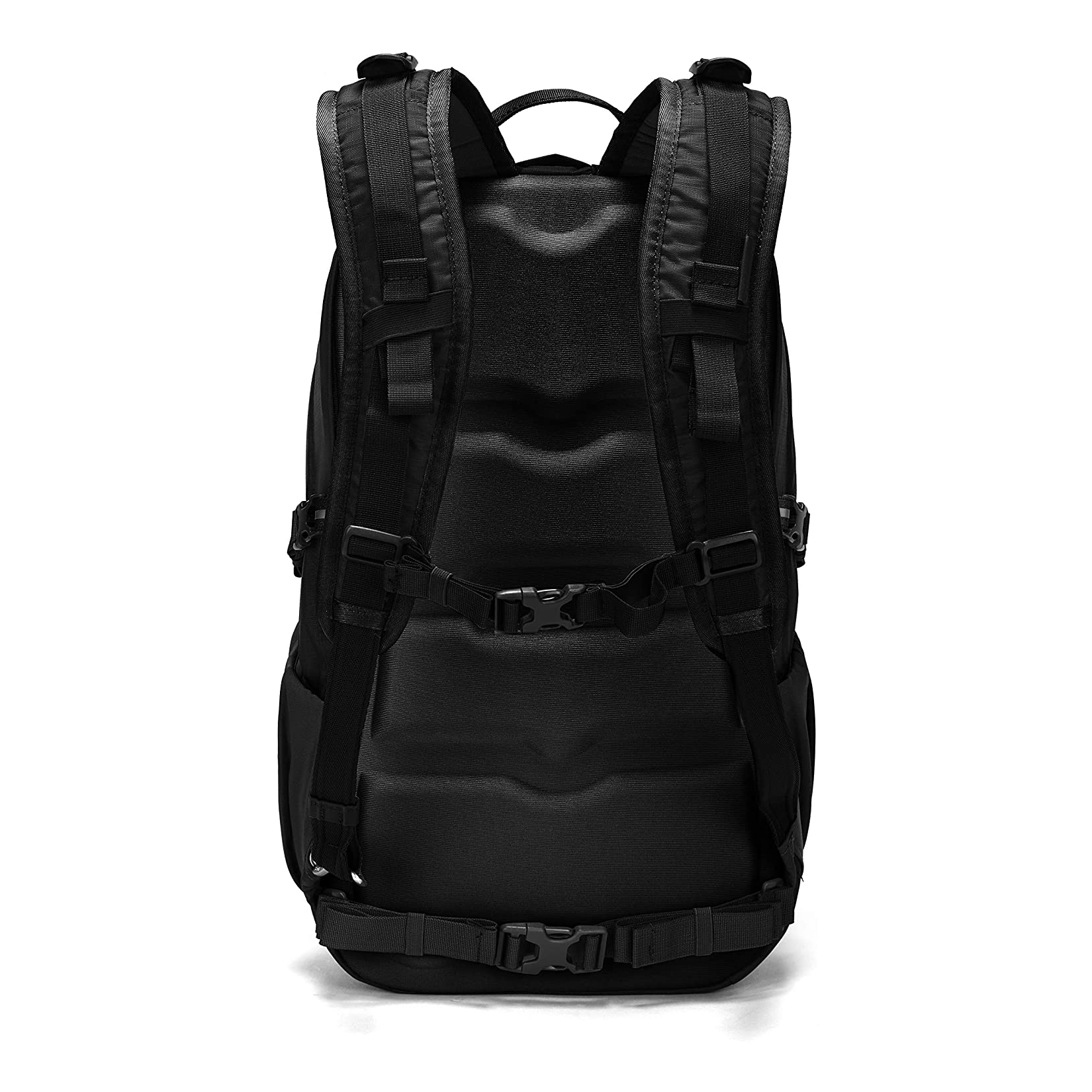 pacsafe venturesafe 25l gii