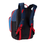 Quiksilver Lunch Train 19L Backpack - Back View
