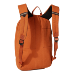 Quiksilver Men's Coastriders Everyday Backpack Back View