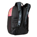 Quiksilver Men's Schoolie Cooler Everyday Backpack Back View