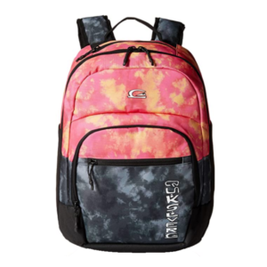 Quiksilver Men’s Schoolie Cooler Everyday Backpack