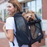 Snoozer Roll Around 4in1 Dog Carrier Backpack Back View