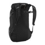 The North Face Diad Pro 22 Backpack - Back View