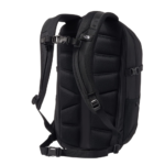 The North Face Fall Line Backpack - Back View