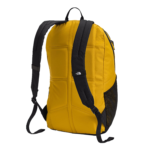 The North Face Sunder Backpack Back View